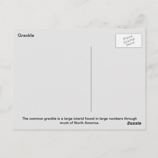 Common grackle briefkaart (Achterkant)