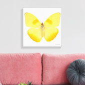 Common Grass Yellow Butterfly Canvas Afdruk (Insitu (Woonkamer))
