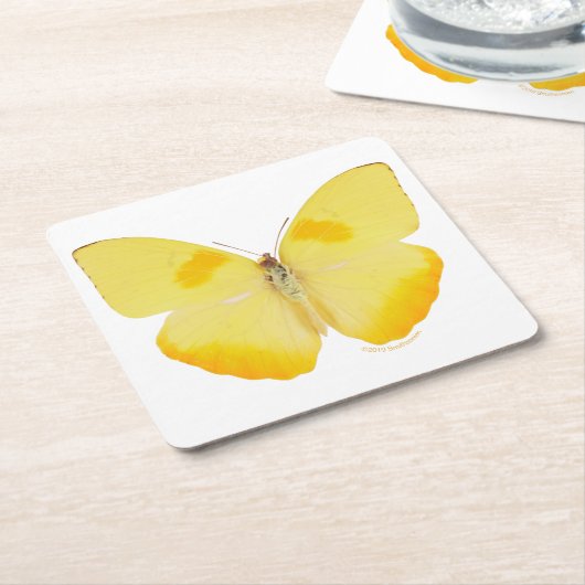 Common Grass Yellow Butterfly Kartonnen Onderzetters (Schuin)