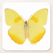 Common Grass Yellow Butterfly Kartonnen Onderzetters (Voorkant)