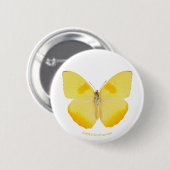 Common Grass Yellow Butterfly Ronde Button 5,7 Cm (Voorkant /achterkant)