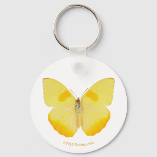 Common Grass Yellow Butterfly Sleutelhanger