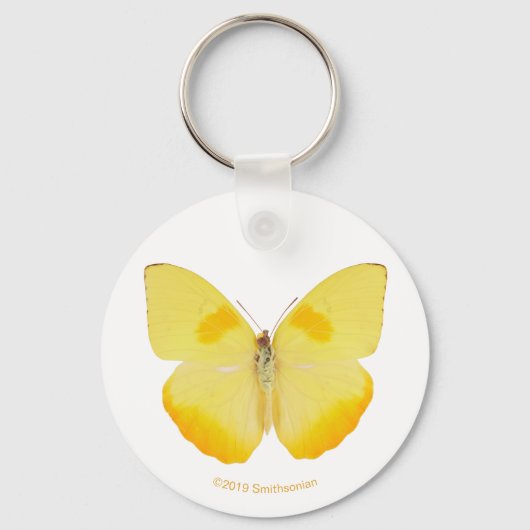 Common Grass Yellow Butterfly Sleutelhanger (Voorkant)