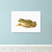 Common Green Frog Canvas Afdruk (Insitu (Houten vloer))