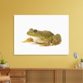 Common Green Frog Canvas Afdruk (Insitu (Woonkamer))