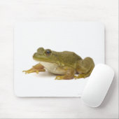 Common Green Frog Muismat (Met muis)