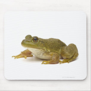 Common Green Frog Muismat