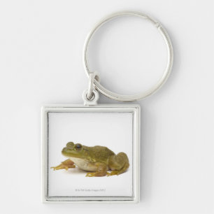 Common Green Frog Sleutelhanger