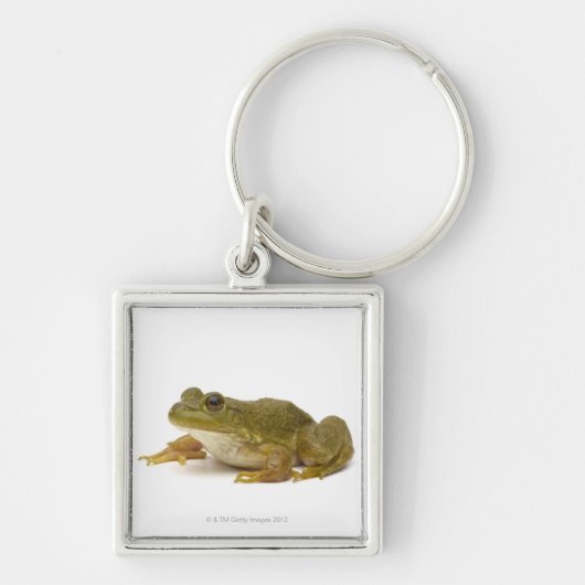 Common Green Frog Sleutelhanger (Voorkant)