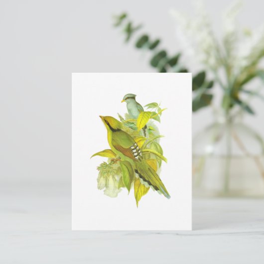 Common Green Magpie Briefkaart (Staand voorkant)