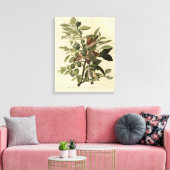Common Ground-Dove from Audubon's Birds of America Canvas Afdruk (Insitu (Woonkamer))