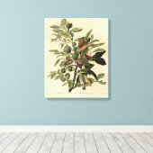 Common Ground-Dove from Audubon's Birds of America Canvas Afdruk (Insitu (Houten vloer))