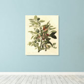 Common Ground-Dove from Audubon's Birds of America Canvas Afdruk (Insitu (Houten vloer))