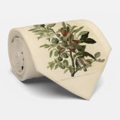 Common Ground-Dove from Audubon's Birds of America Stropdas (Opgerold)