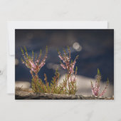 Common Heather Natuur Photo Card (Voorkant)