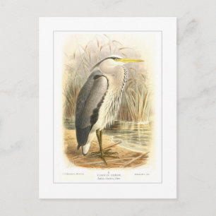 Common Heron Briefkaart