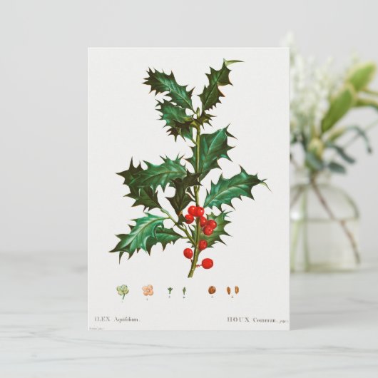 Common Holly Kerstmis Kaart (Staand voorkant)