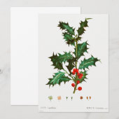 Common Holly Kerstmis Kaart (Voorkant / Achterkant)