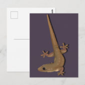 Common House Gecko Briefkaart (Voorkant / Achterkant)