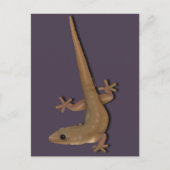 Common House Gecko Briefkaart (Voorkant)