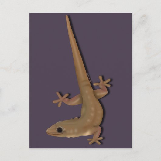 Common House Gecko Briefkaart (Voorkant)