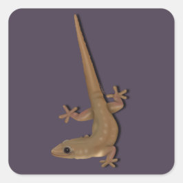 Common House Gecko Vierkante Sticker