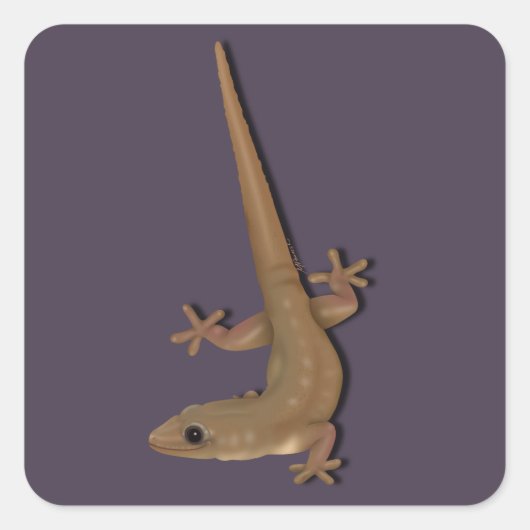 Common House Gecko Vierkante Sticker (Voorkant)