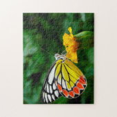 Common Jezebel Butterfly. Legpuzzel (Verticaal)