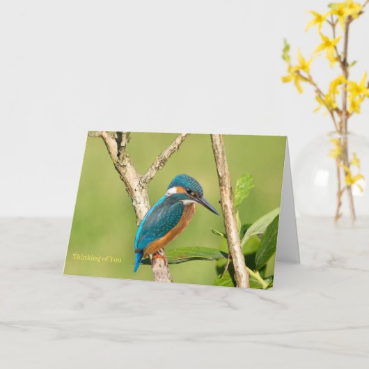 Common kingfischer voor Get Well-kaart Kaart (Gele Bloem)