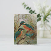 Common Kingfisher Bird Illustration Briefkaart (Staand voorkant)