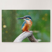Common Kingfisher Bird Natuur Legpuzzel (Horizontaal)