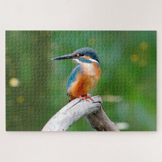 Common Kingfisher Bird Natuur Legpuzzel (Horizontaal)