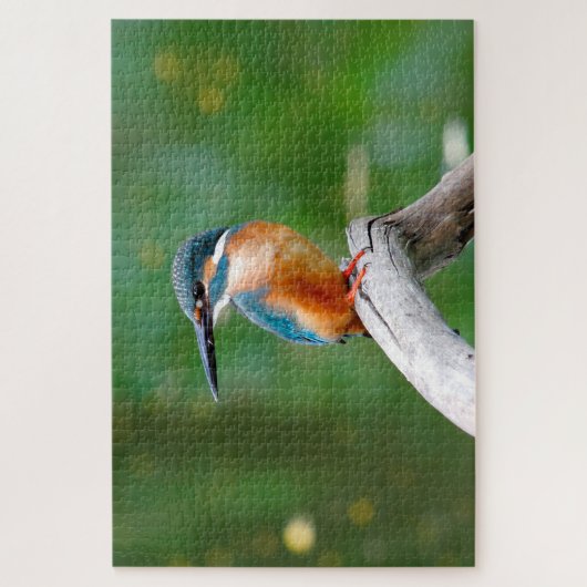 Common Kingfisher Bird Natuur Legpuzzel (Verticaal)