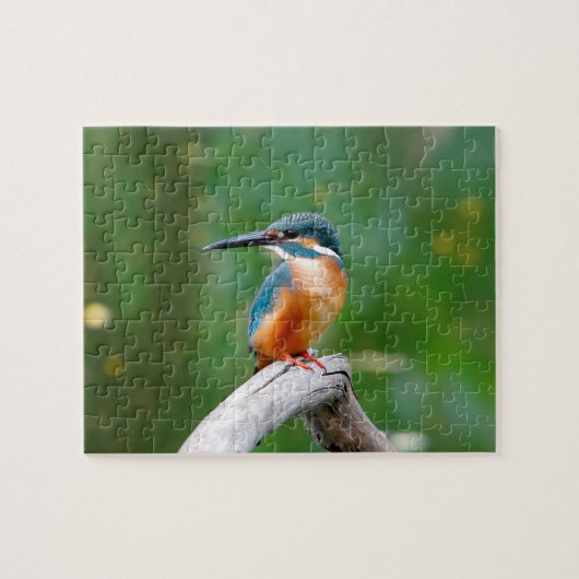 Common Kingfisher Bird Natuur Legpuzzel (Horizontaal)