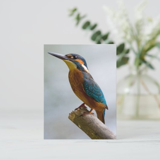 Common Kingfisher Briefkaart (Staand voorkant)