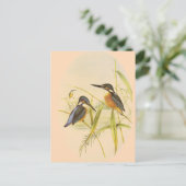 Common Kingfisher Briefkaart (Staand voorkant)