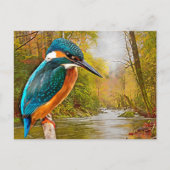 Common Kingfisher Briefkaart (Voorkant)