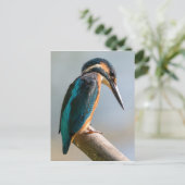 Common Kingfisher Briefkaart (Staand voorkant)
