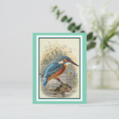 Common Kingfisher Illustratie Briefkaart (Staand voorkant)