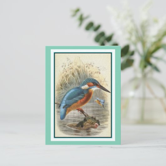 Common Kingfisher  Illustratie Briefkaart (Staand voorkant)