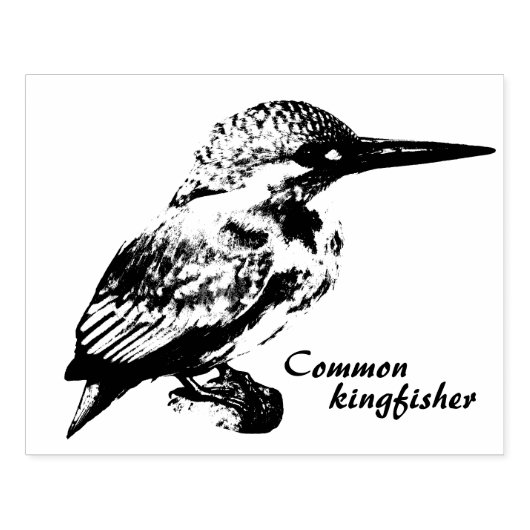 Common kingfisher rubberstempel (Afrduk)