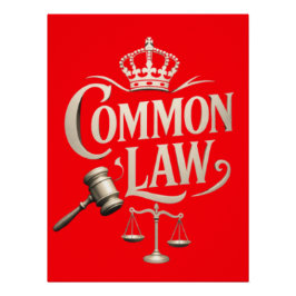 COMMON LAW PERFECT POSTER