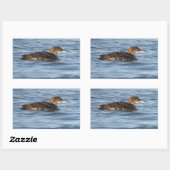 Common Loon Bird Stickers (Vel)