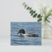Common Loon Briefkaart (Staand voorkant)