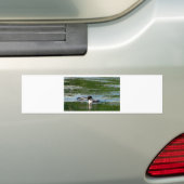 Common Loon Bumpersticker (Op auto)