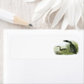 Common Loon by Audubon Etiket (Insitu)