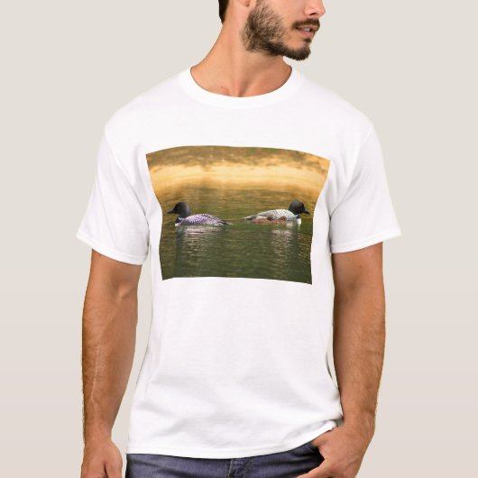 Common Loon Family T-shirt (Voorkant)
