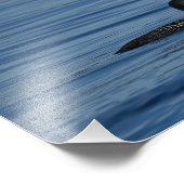 Common Loon, Guemes Island, Verenigde Staten Foto Afdruk (Hoek)