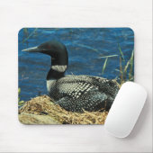 Common Loon Muismat (Met muis)