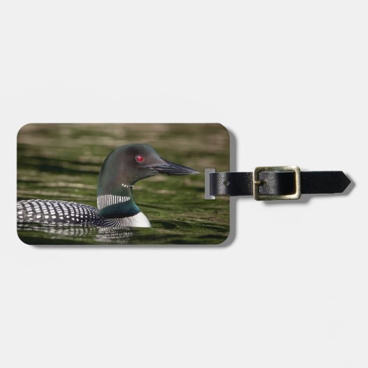 Common Loon on op Jabe Pond Bagagelabel (Voorkant horizontaal)